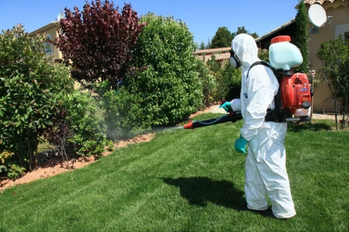 Sandusky Mosquito Control Experts